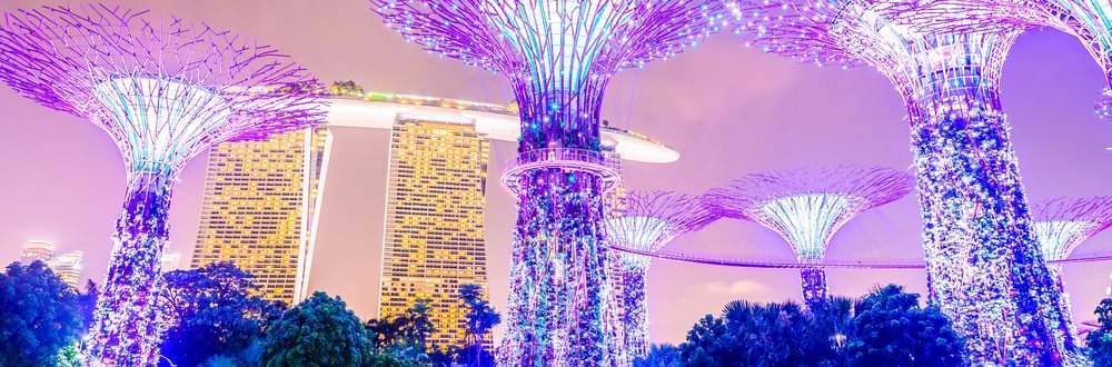 singapore-trees