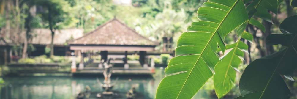 Bali, Indonesia, cottage over water with a leaf obscuring the view