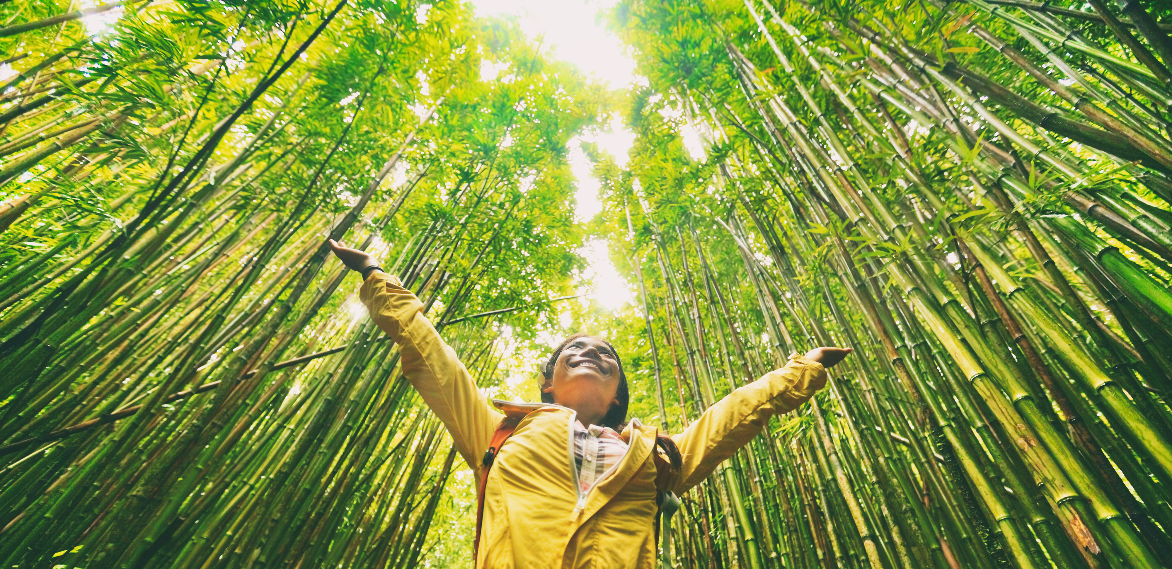 Photo of a woman in a yellow coat standing with her arms up in a green bamboo forest