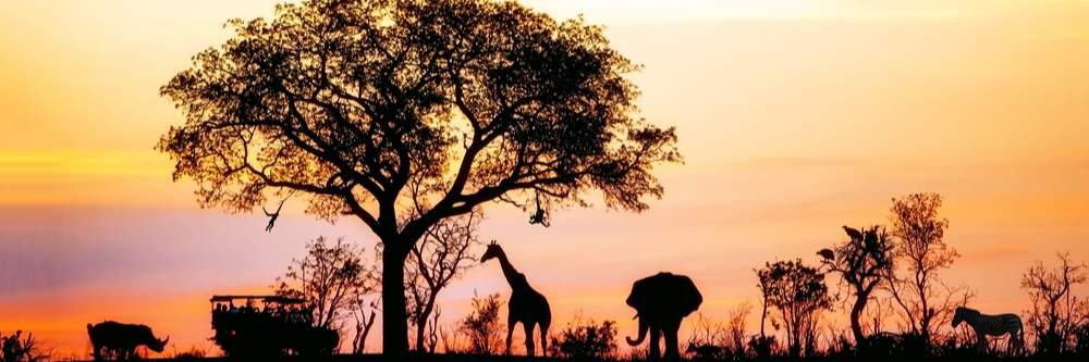 the big five silhouetted against orange sunset sky