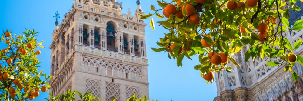 Photograph of a Seville courtyard with orange trees