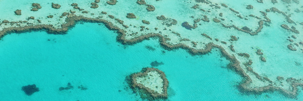 heart reef in the whitsundays australia