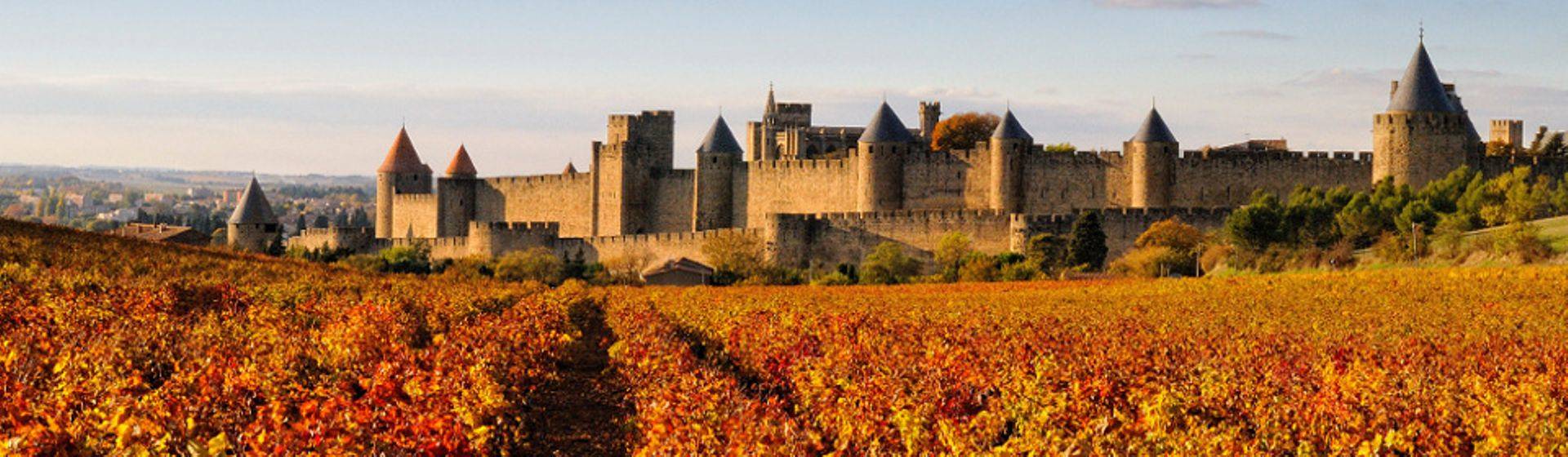 Holidays to Carcassonne Image
