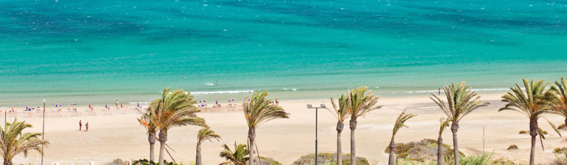 Holidays to Costa Calma Image