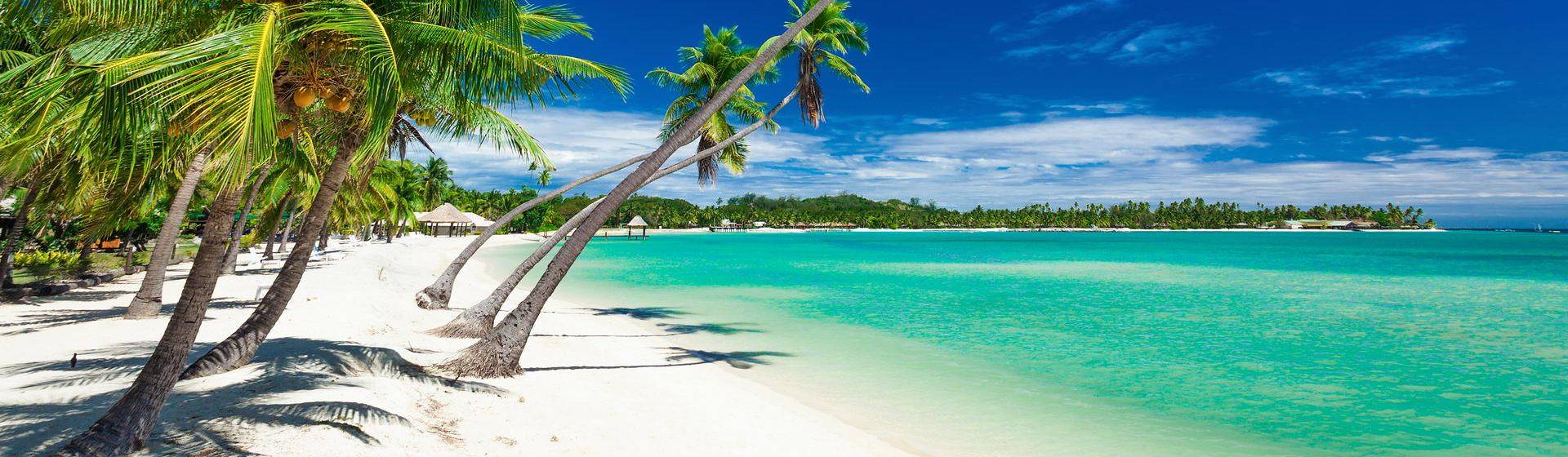 Holidays to Fiji Image