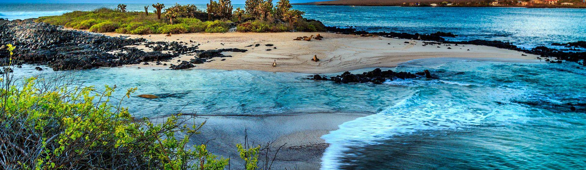 Holidays to Galapagos Islands Image