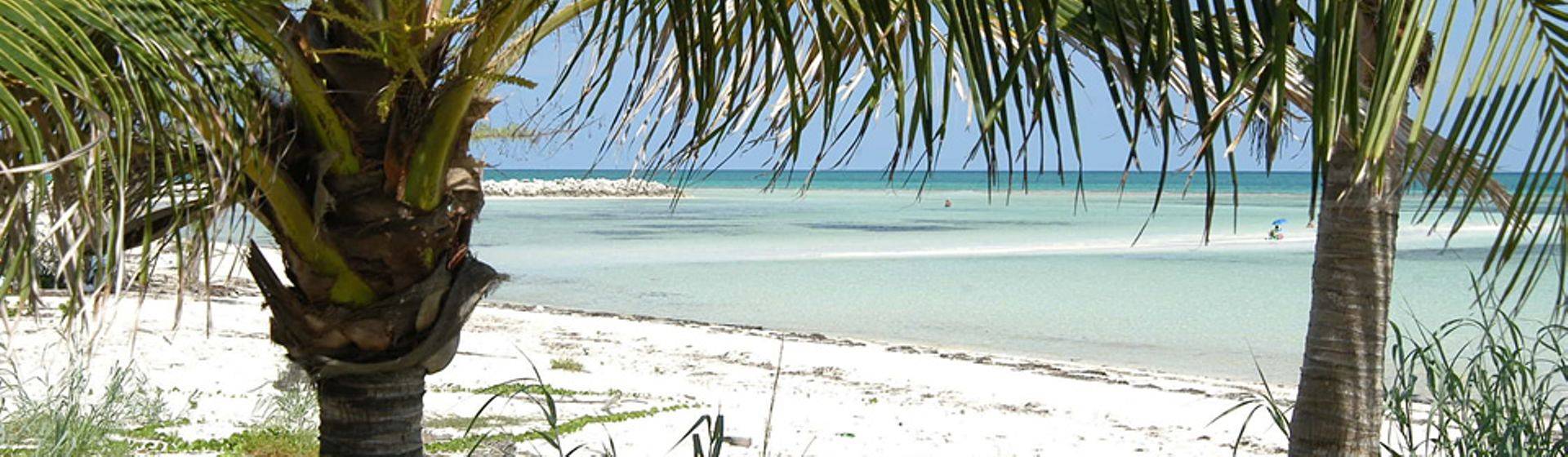 Holidays to Grand Bahama Image