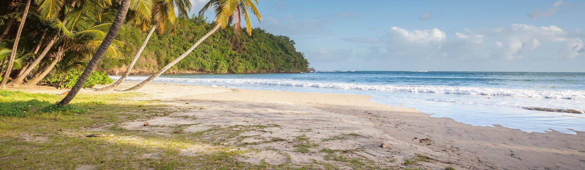 Holidays to Grenada Image