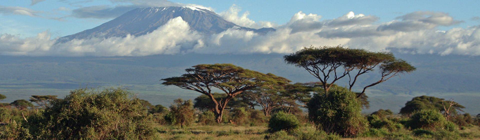 Holidays to Kilimanjaro Image