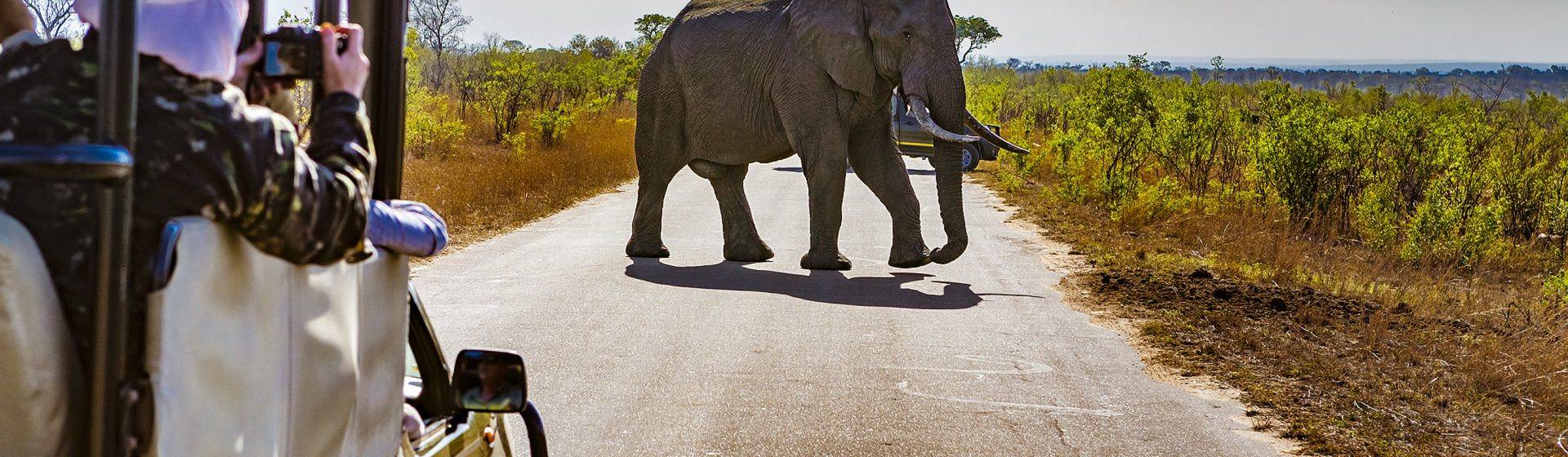 Holidays to Kruger National Park Image
