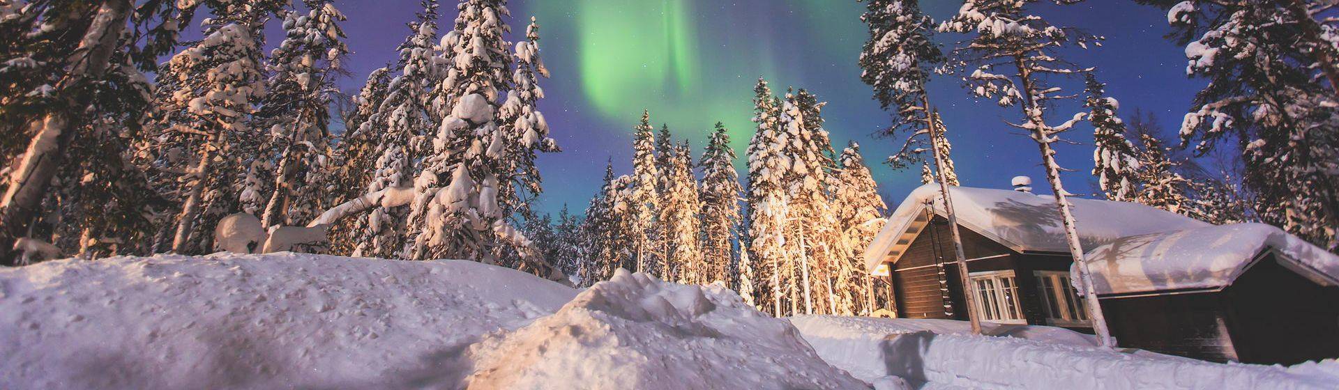 Holidays to Lapland Image