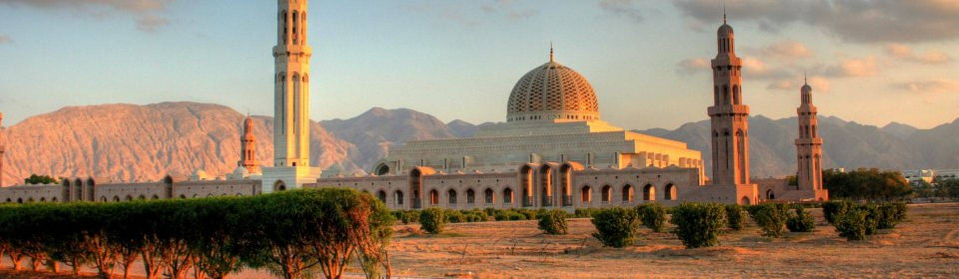 Holidays to Muscat Image