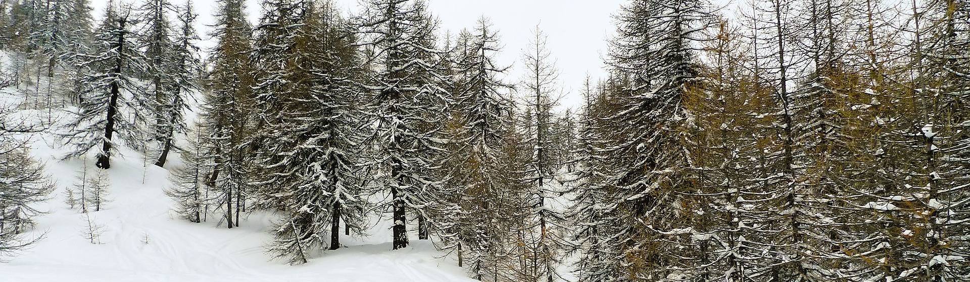 Holidays to Sauze d'Oulx Image