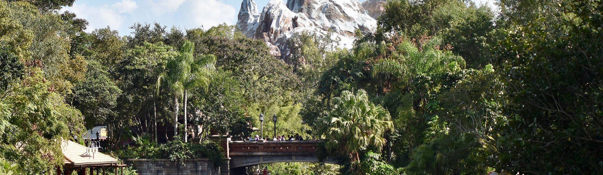 Holidays to Walt Disney World Resort Image