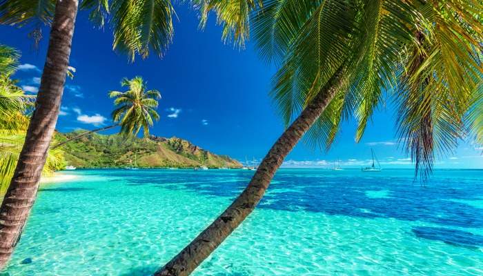 polynesiaisland